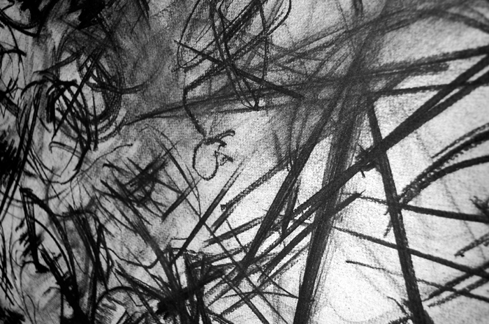 charcoal3detailb