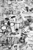 19a_detail