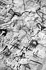 22b_detail