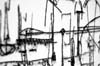 mono1detail